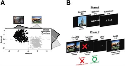 Maintenance suppression reduces the accessibility of visual information in working memory regardless of its normative valence